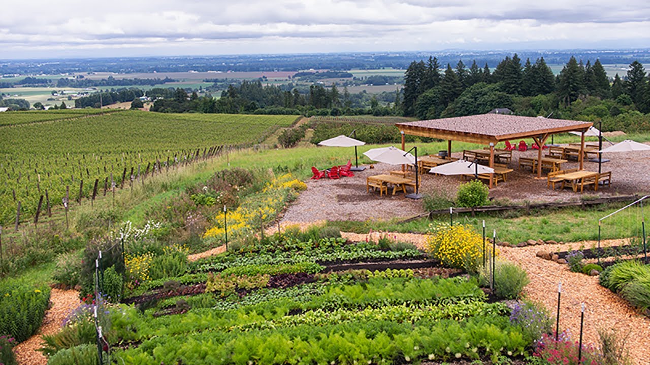 Brooks Wine Club - Community & Commitments