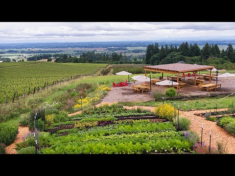 Brooks Wine Club - Community & Commitments