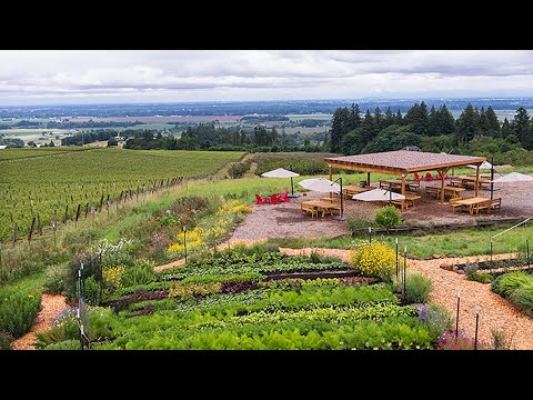 Brooks Garden and Vineyard Walking Tour
