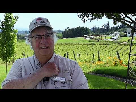 Don Byard talks Riesling