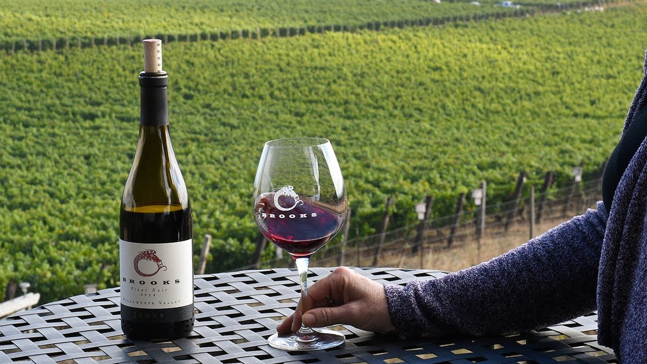 Wine Club Overview by Brooks Club Members