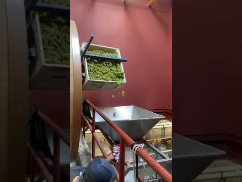 IMG 3373