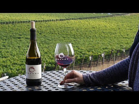 Wine Club Overview by Brooks Club Members
