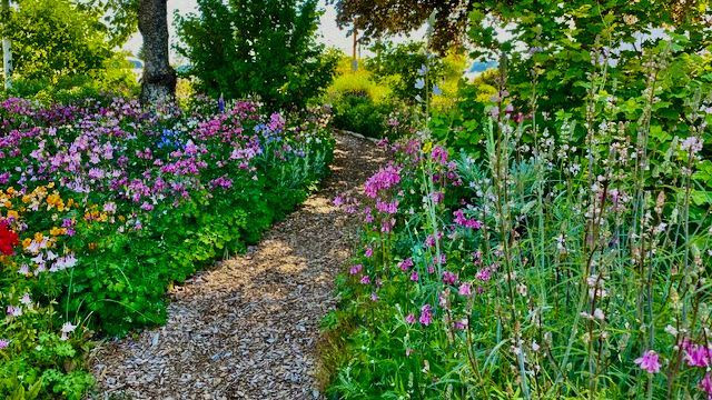 Brooks' garden in full bloom