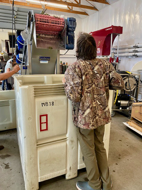 The boss, Head Winemaker Chris, is observing the results of the process and adjusting the calibration of the destemmer as needed. If the fingers move too fast it can split the berries, if too slow, berries can end up in the stem bin.....it all has to be just right and it gets adjusted every time we have fruit from a different vineyard. 