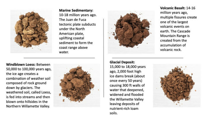 Four different soil types and their descriptions.