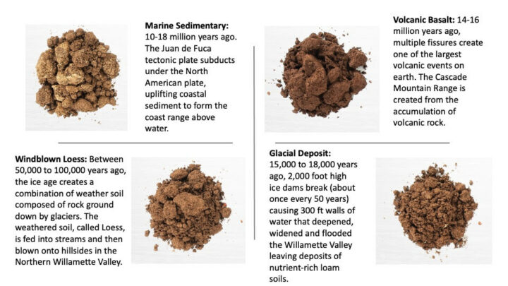 Four different soil types and their descriptions. 