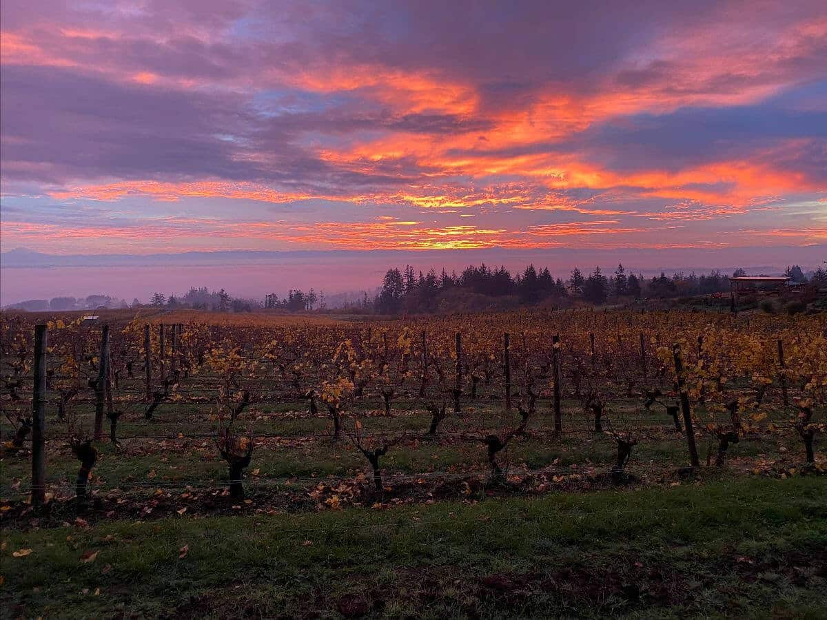 Picture-perfect sunrises and sunsets are easy to find throughout Willamette Valley like this view at Brooks Wine in Amity.