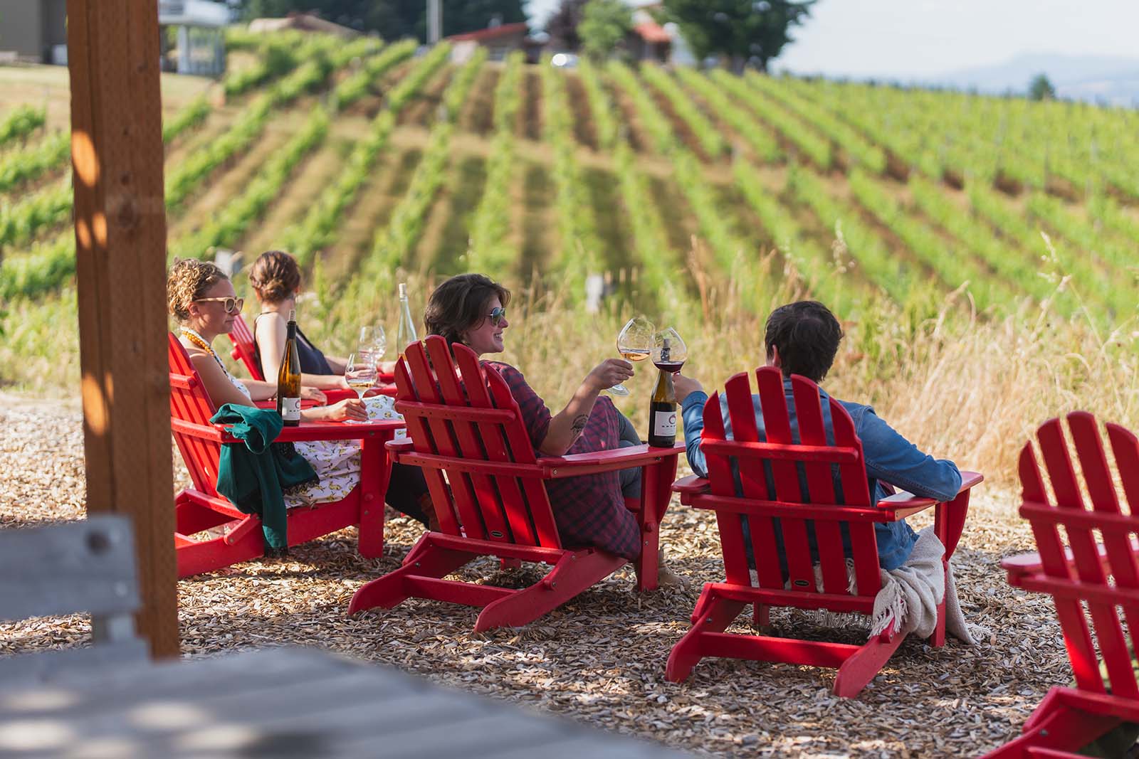 A group of friends sitting in red adirondack chairs overlooking the Brooks vineyard