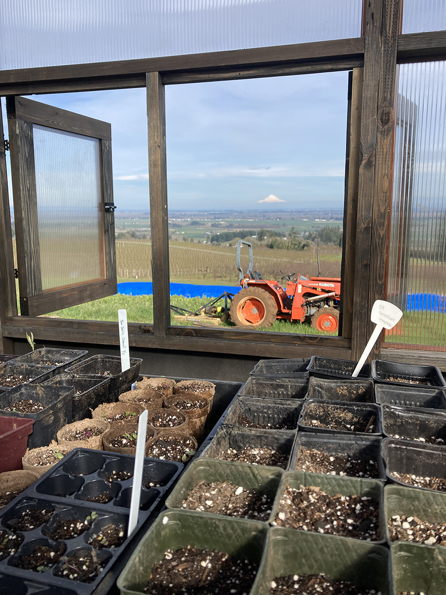 View from Brooks Wine's new greenhouse.