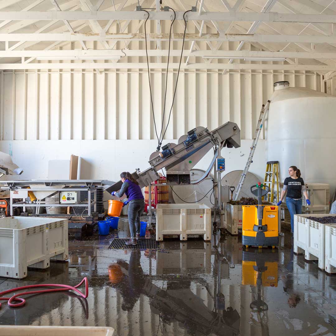 Brooks storage facilities with two workers performing their duties to ensure a clean and insect free work environment.