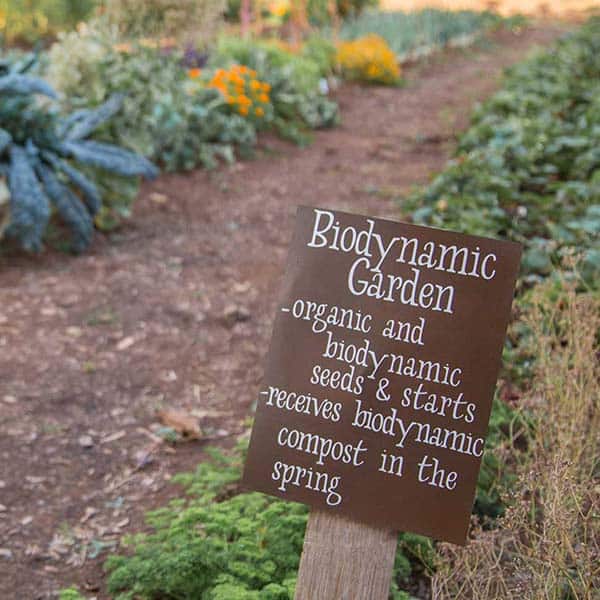 Garden sign reading Biodynamic Garden, organic and biodynamic seeds and starts, received biodynamic compost in the spring