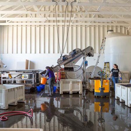 Two women working in the Brooks winery