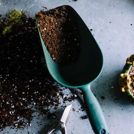 garden trowel with soil and scissors