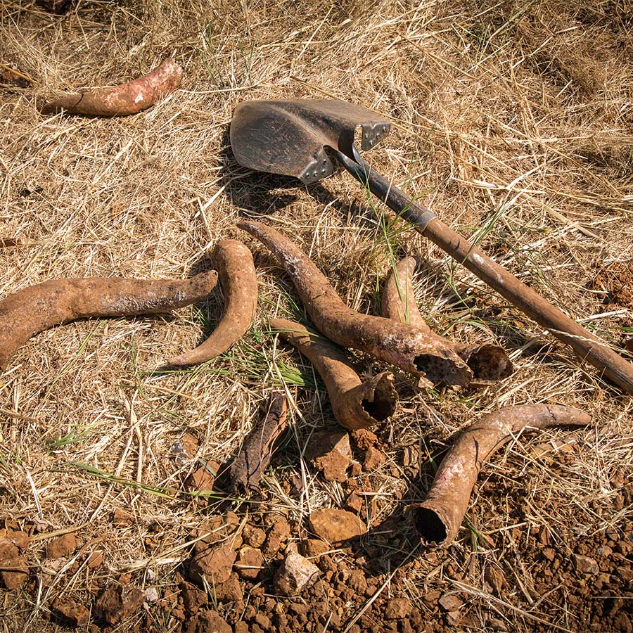 Biodynamic preparations with shovel and horns on soil
