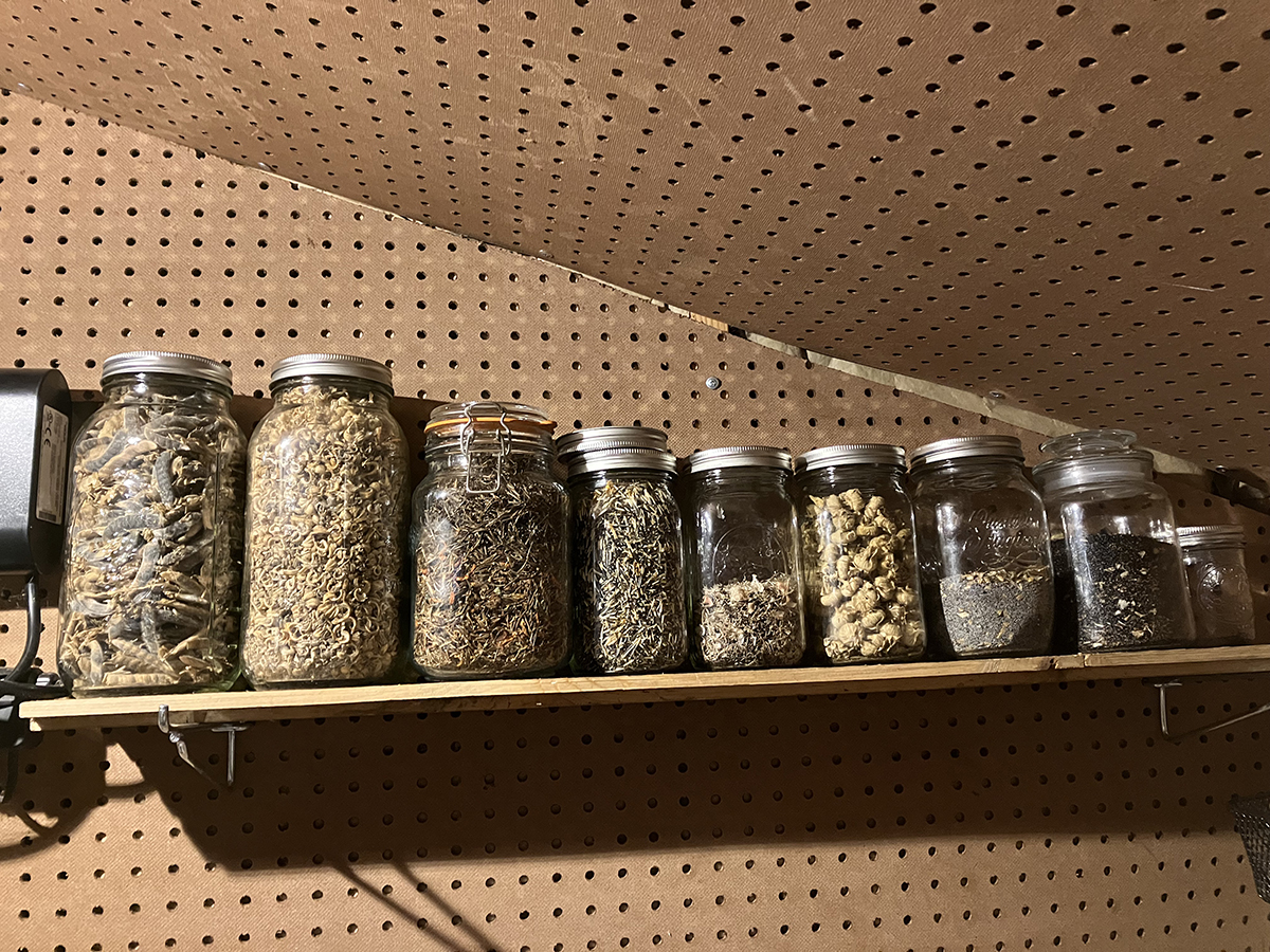 A row of jars filled with seeds on a shelf in the Brooks greenhouse.