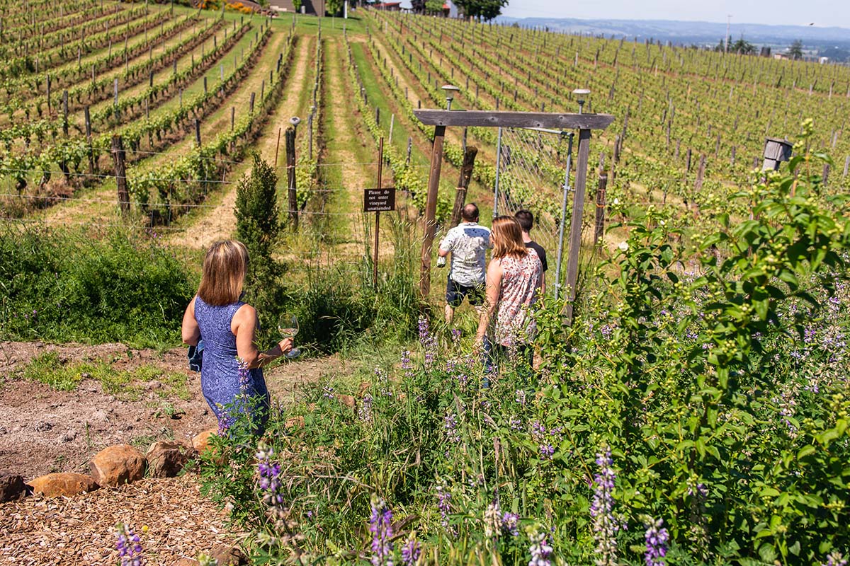 Tour guide and guests in the vineyards for the Brooks Estate Tour