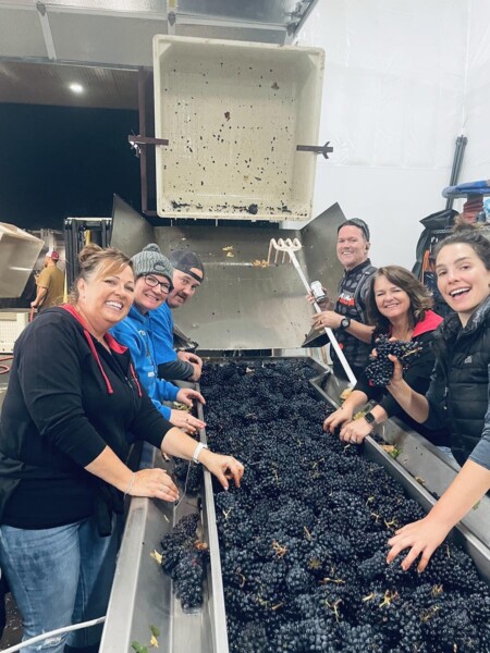 Neigbors and friends joing together at Brooks Winery in Oregon's Willamette Valley to pitch in and harnd-sort grapes throughout the night during a tight harvest deadline. 