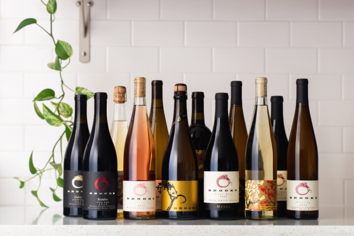 A large collection of affordable wines from Willamette Valley producer Brooks Wine in various bottle sizes and shapes are displayed in front of a white wall with a green pothos vine hanging in the background before the wine investor properly stores the wine.