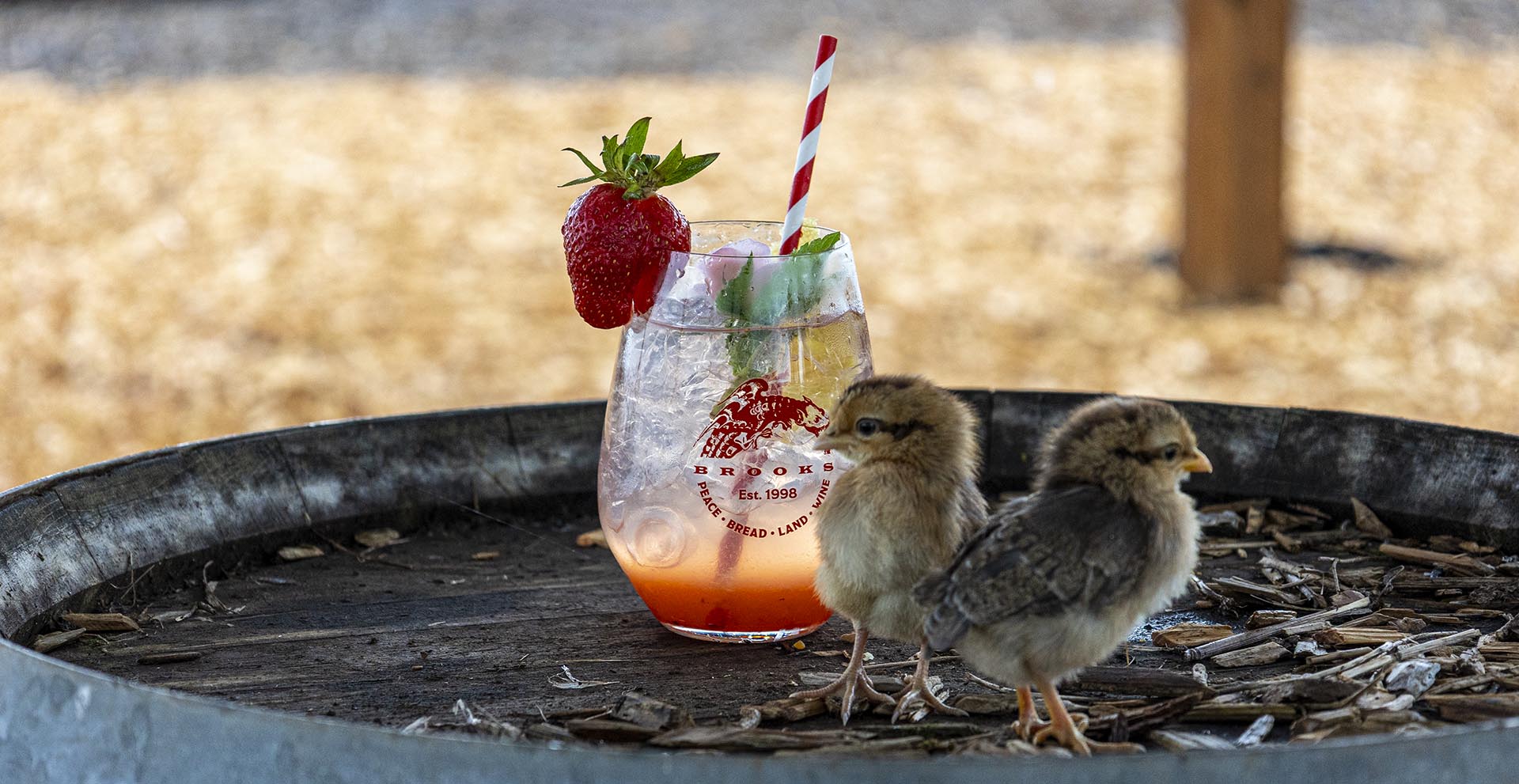 The Spring Chicken Brooks Rosé Cocktail